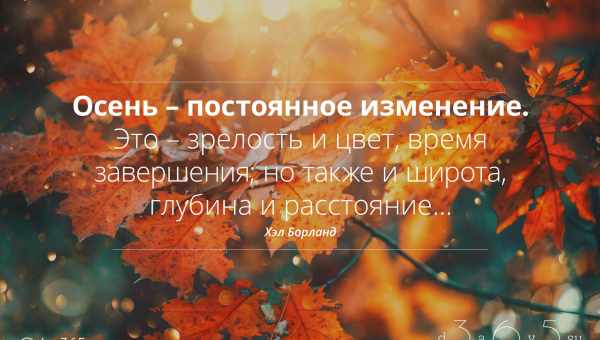 Прикмети 25 листопада: що сьогодні зробить чоловіка щедрим