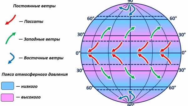 Морські організми пов'язали вуглецевий цикл Землі зі змінами клімату за 50 мільйонів років