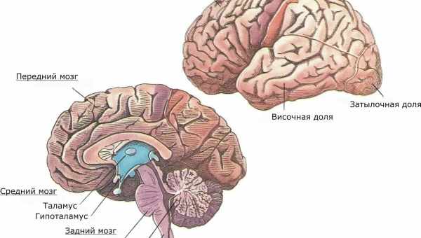 Машинне навчання вирахувало потенційних самогубців за активністю мозку