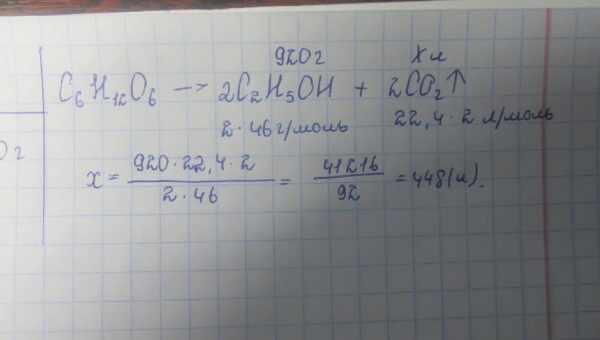 Інвазивні кабани зіпсували ґрунт і за викидами вуглекислого газу обійшли мільйон автомобілів