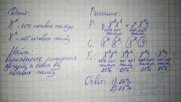 Експресія генів не змогла підлаштуватися під нічну зміну