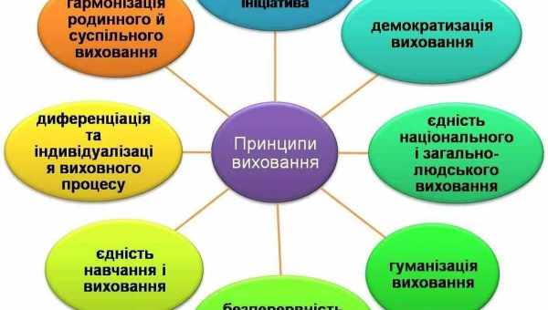 Як користуватися електронними вагами: функції, особливості, запобіжні заходи, додаткові функції