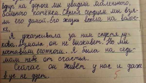 Не роби так: 10 помилок у діловому стилі, які не можна допускати