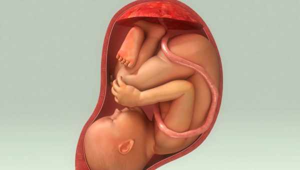 Прееклампсія вагітних, або «агонія» плаценти