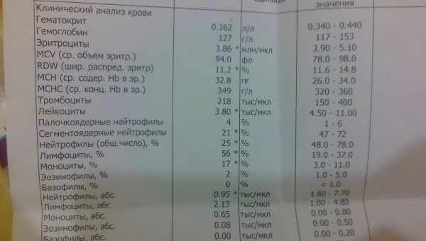 Причини та ознаки для проведення аналізу крові на алергени у дітей