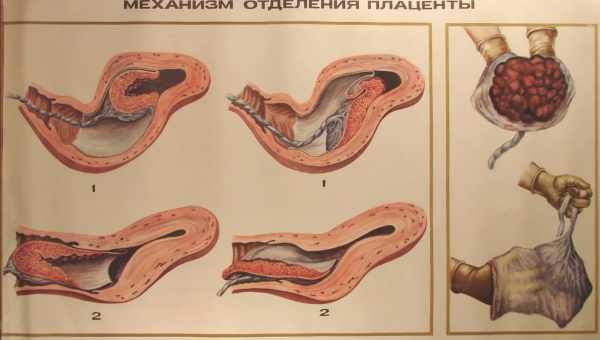 Через скільки місяців після першої дитини можна зачати другу?