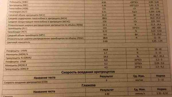 Підвищений вміст базофілів у крові дитини: причини та можливі наслідки