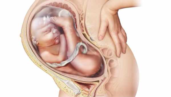 Істміко-цервікальна недостатність під час вагітності