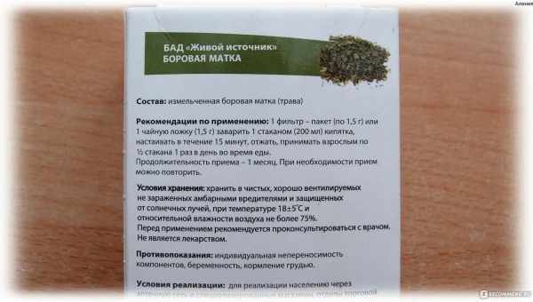 Лікувальні властивості та протипоказання борової матки