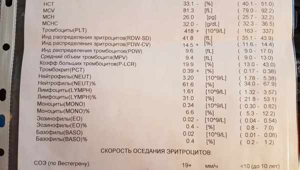 Яка норма тромбоцитів при вагітності