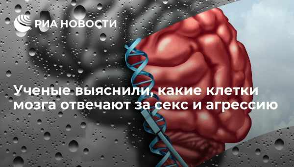 Синдром Аспергера у дітей: виявлення хвороби та підбір терапії