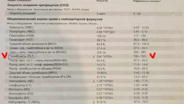 Норма нейтрофілів у жінок у крові