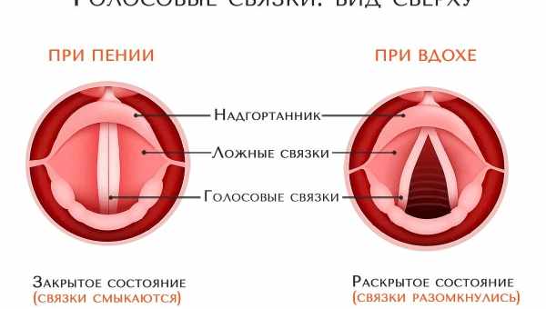 Коли червоні точки в горлі у дитини - привід для занепокоєння