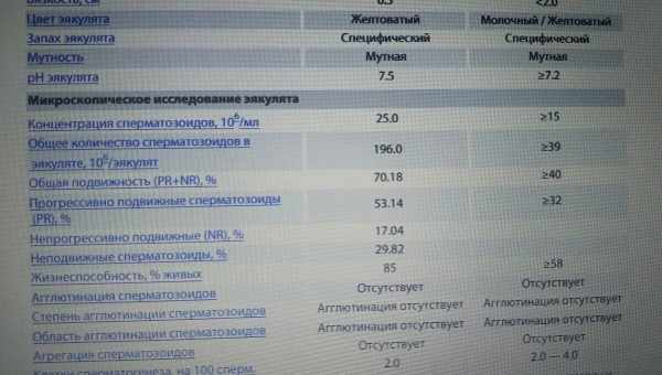 Нормозооспермія, агрегація або агглютинація: що означає аналіз сперми