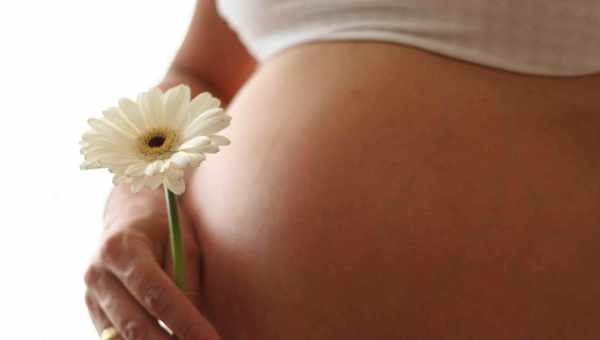 Застосування ромашки під час вагітності