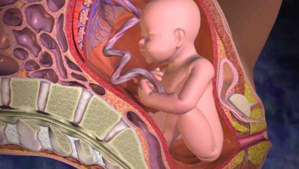 До чого призводить прошарок плаценти на ранніх термінах вагітності