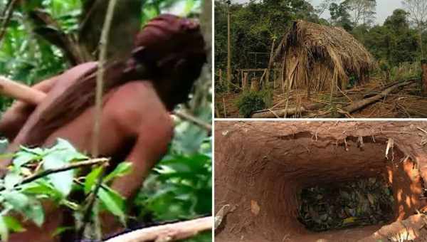 Дослідники загубленого міста в джунглях стали жертвами «Прокляття Бога»
