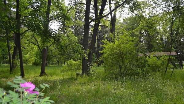 Легенди про помсту мерців воронезького парку ім. Дурова