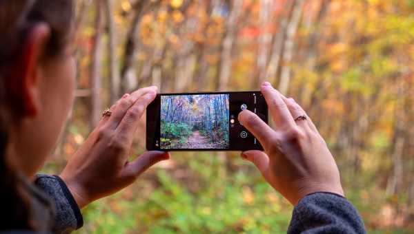 У мережу витекли перші фотографії з Google Pixel 4