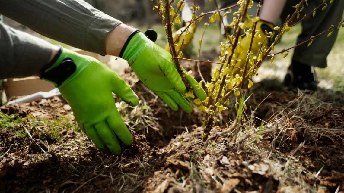 Що потрібно шкірі восени - розповідає б'юті-експерт