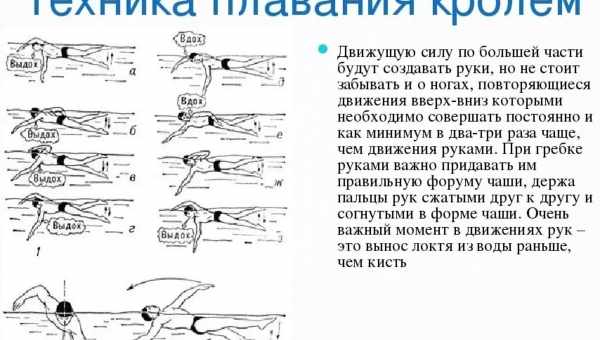 Як правильно плавати кролем