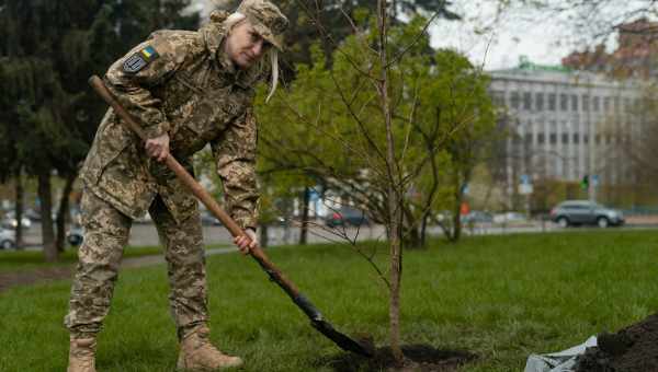 Народні кошти від нежитю: допоможуть чи ні? Як зупинити співплічення народними засобами від нежитю