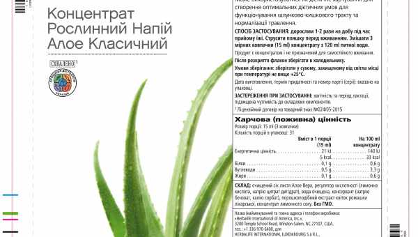 Алое: диво-ліки на вашому підконнику