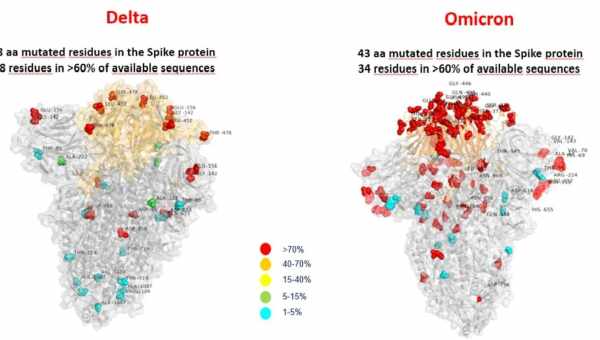 Чи зможе штам Омікрон витіснити Дельту і покінчити з пандемією