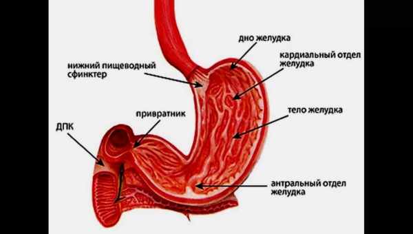 Гастродуоденіт - що ховається під цим поняттям?