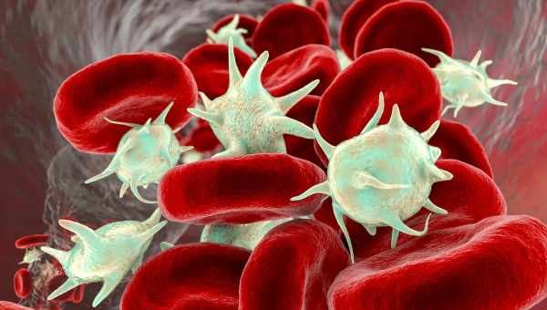 Як знизити рівень тромбоцитів у крові?