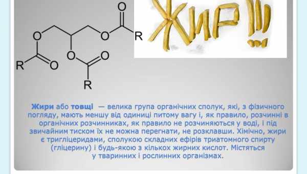 Жирні кислоти та їхні функції