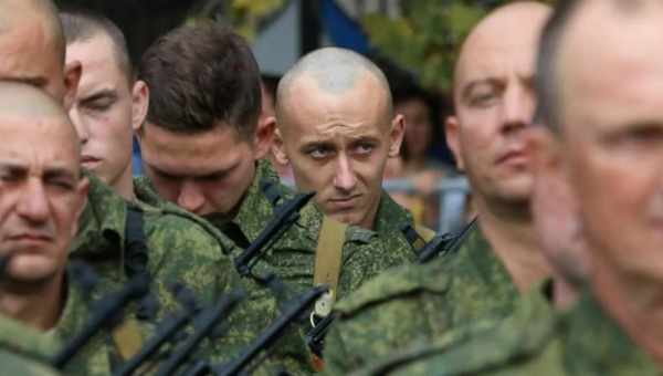 Втрата мітохондрій не позначилася на складності геному