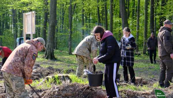 Людина почала знищувати ліси ще 45 тисяч років тому