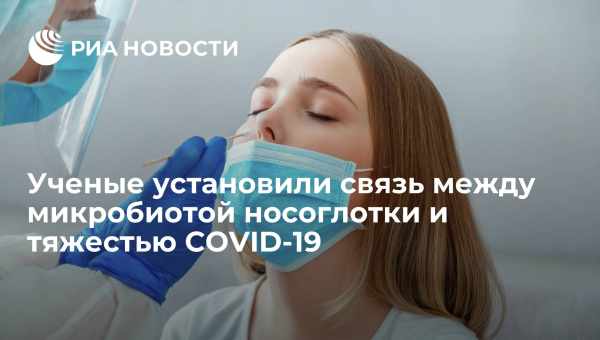 Біологи пояснили однакову швидкість самовідтворення у слонів і бактерій