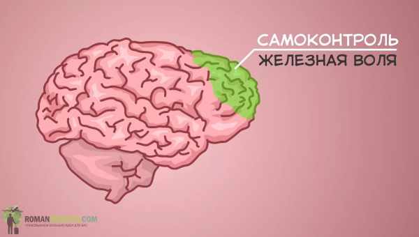 Що таке воля і чи є у неї сила?