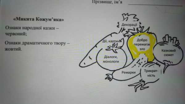 За що можна любити школу і як здобути професіоналізм?