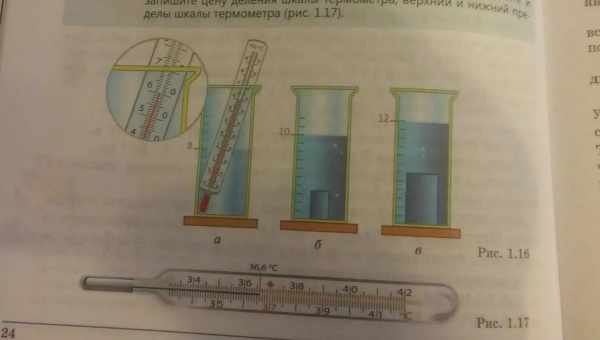 Газовий пістолет і мензурки: Лена Летюча розповіла невідомі факти про себе