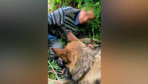 Чудово збережіться пташеня знайдено в стомільйоннолітньому бурштині