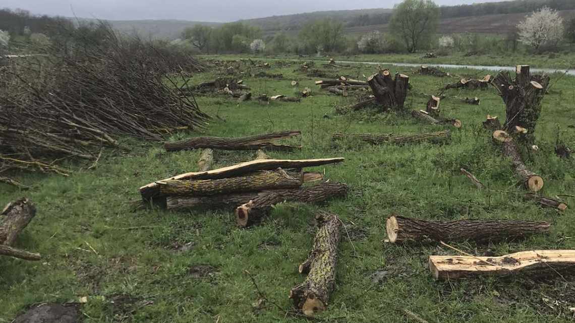 В ірландському болоті виявили дерев'яного ідола віком близько 1600 років