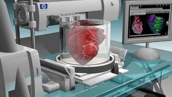 Життєздатні органи надрукували на 3-D принтері