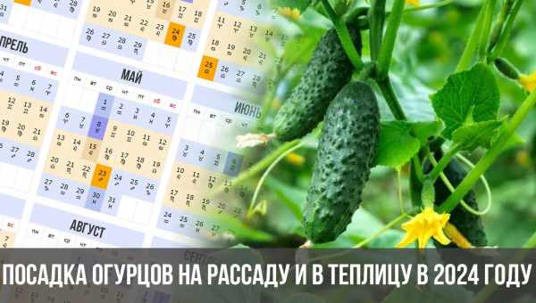 Місячний календар для планування робіт в саду і городі на другу половину травня з 16 по 31 число