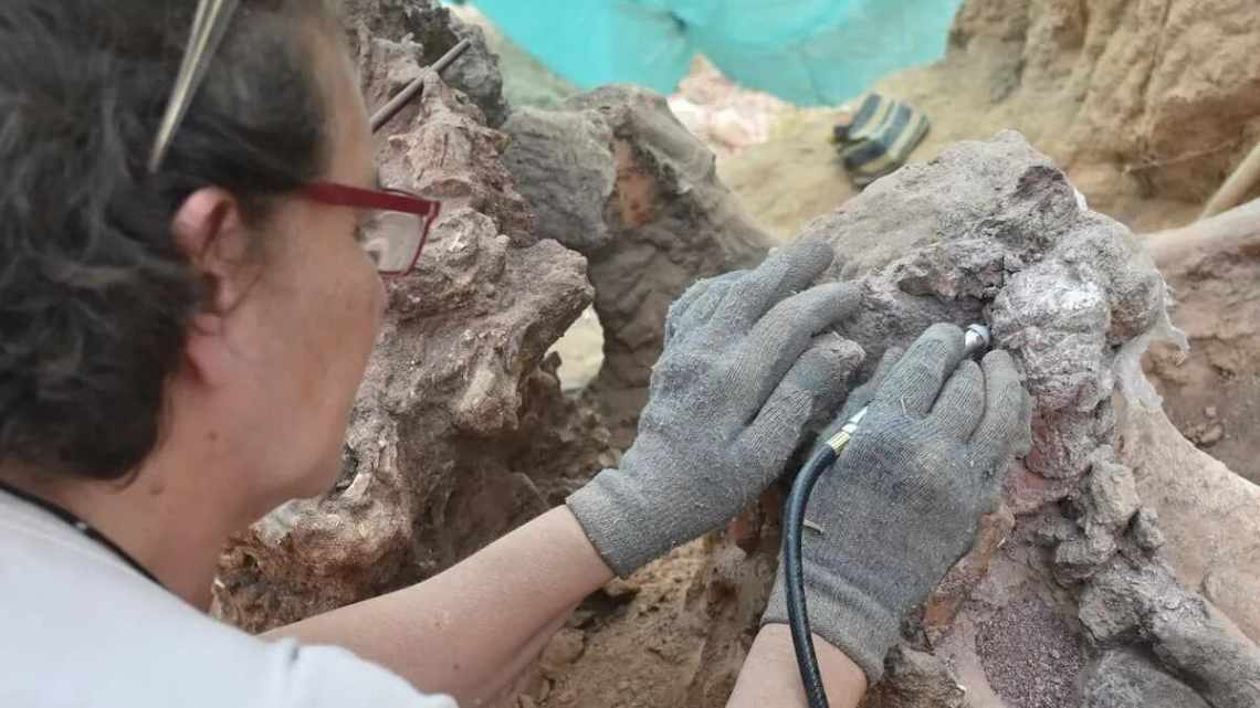 Палеонтологи показали відновлення біорізноманіття після вимирання динозаврів