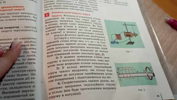 Адресна антисмислова терапія загальмувала розвиток прионної хвороби у мишей