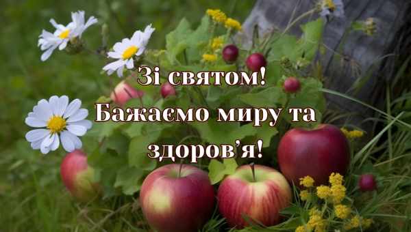 Вас порадує своїми плодами і довгим терміном зберігання сорт яблук Кутузовець