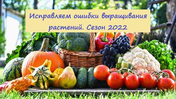 Пора починати садово-городній сезон 2022 - 9 справ, які необхідно зробити в березні