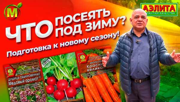 Дотримуємося правил посадки томатів у теплиці і після збираємо врожай відрами