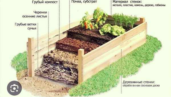 Відповідні сусіди по грядці для томатів у відкритому грунті і теплиці, а кого не можна саджати поруч