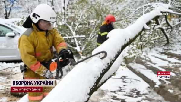 До настання морозів можна ще встигнути виростити врожай в теплиці - розповідаємо, що краще посадити