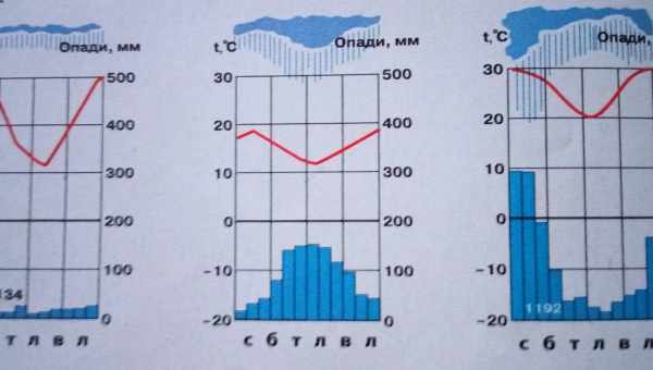 Нове дослідження передбачає, що зміна клімату призвела до скорочення чисельності мастодонтів і слонів