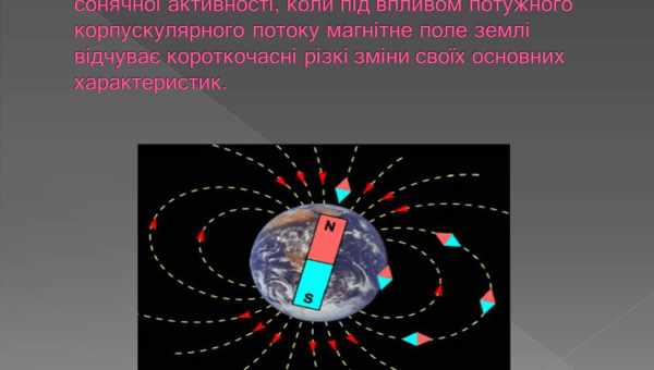 Птахи можуть бачити магнітні поля?